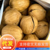 New Walnut Thin-Skinned Paper-Skinned Xinjiang Hand-Peeled Roasted Walnuts Cooked Herbal Flavor Bagged 500g Nut Walnut Wholesale