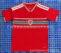 26-27 wales home