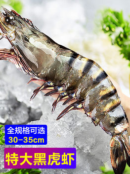 Fresh Black Tiger Prawns, Large Tiger Prawns, Live Tiger Prawns, Extra-Large Frozen Seafood, Bamboo Nine-Section Prawns