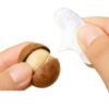 Wholesale Large-Sized Macadamia Nuts in Bags, Creamy Flavor, Daily Nuts, Snacks, Large Macadamia Nuts