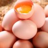 Wanweibao Newborn Eggs 40 Pieces * 40g Fresh Eggs Farm-Raised Free-Range Eggs 6 Pieces 20 Pieces