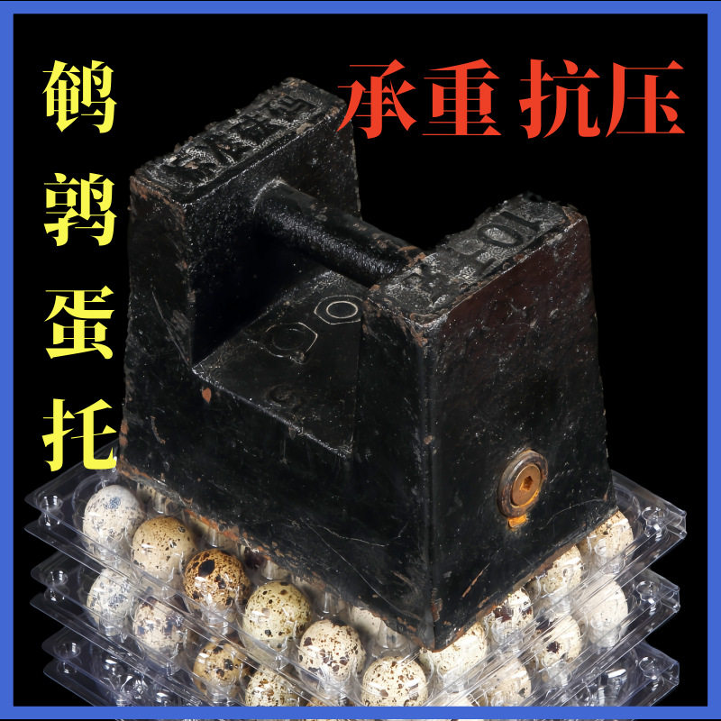 Disposable Plastic Box Blister Quail Egg Packaging Box Transparent Pet Plastic 24 Pieces Quail Egg Tray Quail Egg Box