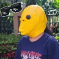 yellow fish head