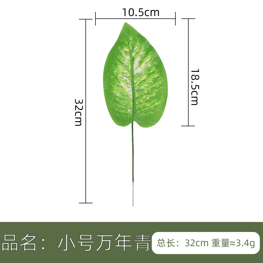 仿真人造植物叶子 单片绿叶春雨叶美人蕉 北欧家居风插花装饰配材