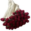 [6.2 Thousand People Collected] Rose Bouquet Blanket Hand-Knitted DIY Material Package Wool Ball Crocheted Flower Wool