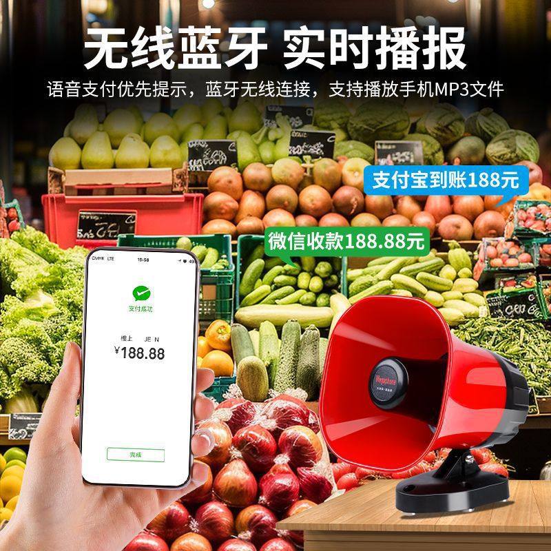 Rechargeable High-Power Recording Speaker, Car-Mounted Loudspeaker, Car Advertising Street Stall Bluetooth Loudspeaker