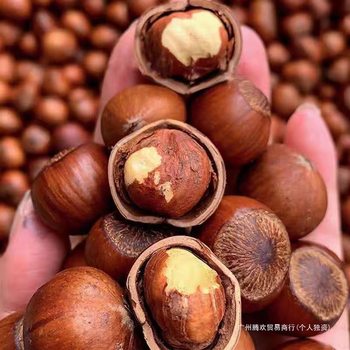 New goods northeast open large hazelnut thin skin large hazelnut original fried nuts specialty bags wholesale price packaging