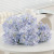 Aisha Hydrangea Home Edition-Голубовато-голубой