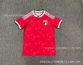 2026 uae away kit [fan edition]
