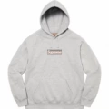 E541 sup burberry joint model gray