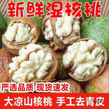 Fresh Raw Walnuts 2023 Peeled Wet Walnuts from Daliangshan, Sichuan, Thin-Skinned Walnuts, Tender New Black Walnuts