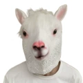 Alpaca