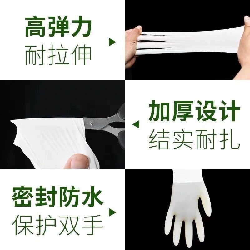Medical Grade Rubber Latex Surgical Sterile Surgical Gloves Disposable Gynecological Examination Sterilized Gloves Separate Packaging