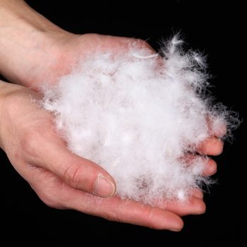 Daduo 95 White Duck down High Fluffy Textile down Factory Direct Sales National Standard Winter Clothing Quilt Raw Materials with Excellent Prices