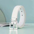 Versatile/silver buckle 3.0 white
