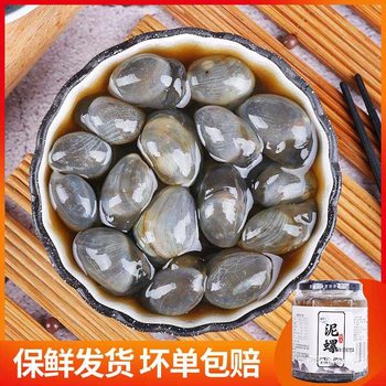 Ningbo Specialty 8A Large Size Mud Snail 280g Ready-To-Eat Yellow Mud Snail Pickled Mud Snail Large Bottle of Drunken Snail Seafood Snacks