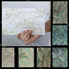 Shell Pieces 14*24 Non-Bendable Orange Green Blue Red Purple Mexican New Zealand Abalone Mother-Of-Pearl Hard Mother-Of-Pearl