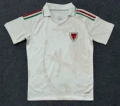 2026 wales away game