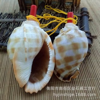 Wholesale Conch Whistle Watermelon Snail Whistle Shell Crafts Kidsren's Toys Can Be Blown
