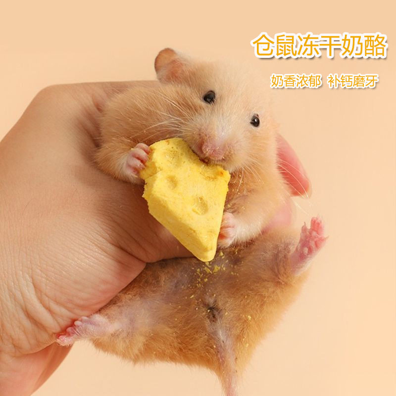 Freeze-Dried Cheese Hamster Snacks Golden Bear Meat Patties Small Pet Goat Milk Teething Training Fruit and Vegetable Egg Yolk Nutritional Calcium Supplement