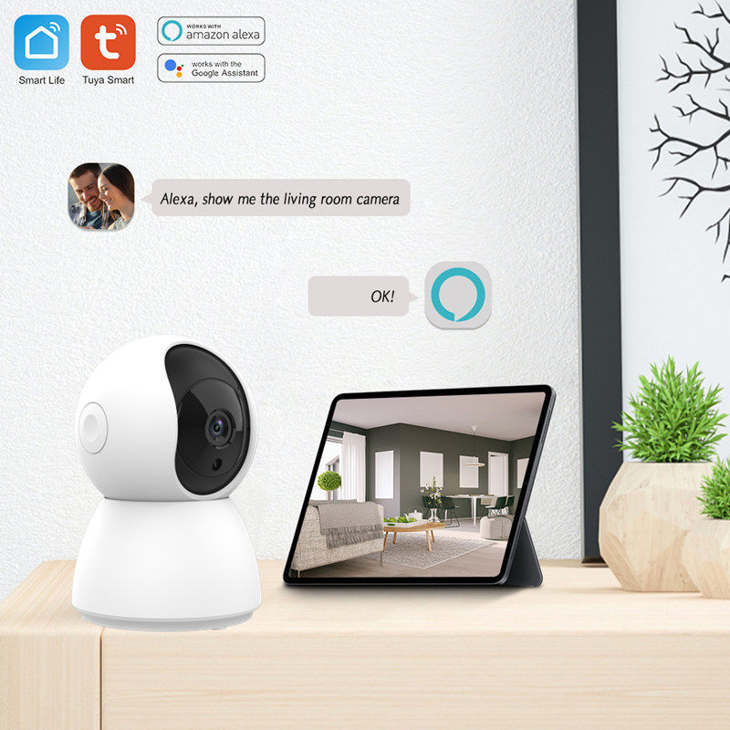 Graffiti WiFi Indoor PTZ Surveillance Camera Tuya Smart 1080P Home Shaker HD Camera