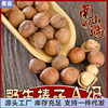 New Wild Large Hazelnuts Hand-Sorted Northeast Specialty Nut Snacks Tieling Water-Drained Roasted Raw Hazelnuts