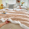 Autumn and Winter Taffeta Lamb Velvet Blanket Double-Sided Thickened Coral Velvet Blanket Nap Blanket Blanket Cover Blanket