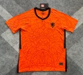 20-21 netherlands home game