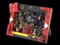 Chicago bulls