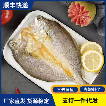 Fresh Frozen Yellow Croaker, Three-Processed Yellow Croaker, Seafood Wholesaler, Aquatic Products Wholesale