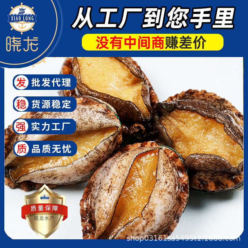 Manufacturer Wholesales Seafood, Extra-Large Abalone, Seafood for Buddha's Leap Wall Dish, Seafood Soup, Seafood in Sauce, Fresh Large Abalone, Wild-Caught