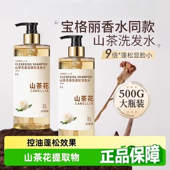 Camellia Shampoo Silicone-Free Oil Control Fluffy Anti-Dandruff Anti-Itch Amino Acid Mite Removal Shampoo for Women and Men