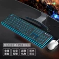 L1 wired black - ice blue light + t6 wired white mouse