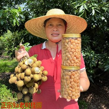 New goods, old trees, best choice, 9a dried longan meat, Gaozhou special beautiful dried longan meat, no addition, non-nuclear dried longan wholesale