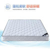 Simmons Mattress Soft and Hard Dual-Purpose Thick Meter Double Household Economical Coconut Palm Spring Mattress