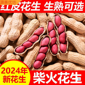 2024 Red Peanut Fresh Shandong Original Peanut with Shell Stir-fried Red Peanut Sun-dried Four Red Stir-fried