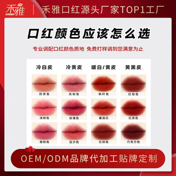Lipstick Material Customized Color and Texture, Lip Glaze, Lipstick, Lip Oil, Lip Gloss Oem Processing and Oem