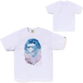 799 white cherry blossom