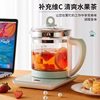 Hemisphere Health Kettle Office Home Multifunctional Kettle Decoction Kettle Tea Health Kettle Gift Drop Shipping