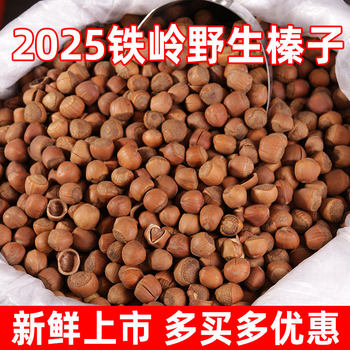 Large Hazelnuts, a Specialty of Northeast China, Fresh Wild Roasted Nuts from Tieqing, Original Flavor Dried Fruit Snacks, Extra Large