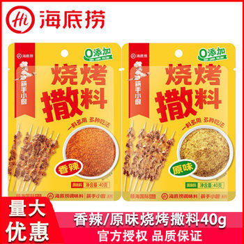 Haidilao Original Spicy Bbq Seasoning 40g for Home Use, Suitable for Grilling Beef, Lamb, Chicken Wings, and Pork Belly, Multi-Purpose Seasoning and Marinade