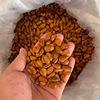 Fresh Northeastern Pine Nuts from the Manufacturer, Ready-To-Eat, Large Kernels, Hand-Peeled, Snacks, Nuts, Roasted Seeds and Nuts, Bulk Packaging