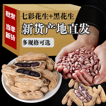 Yunnan Local Peanut Colorful Peanut Black Peanut Peanut Original Fried Raw Peanut Optional Source Direct Supply