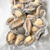 Wholesale Abalone Meat, Shelled and Processed, Frozen Abalone Pellets, Dongshan Island Seafood, Direct Delivery from the Origin, Can Be Shipped in One Piece