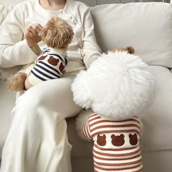 Ins South Korea Warm Pet Knitted Wool Clothes Autumn and Winter Thickened Small and Medium Dog Dog Cat Teddy Wholesale pet