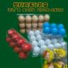 4 6 8 10 egg holder 30 salted duck egg holder thickened packing box large egg holder plastic transparent