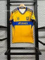 25-26 Tiger Home