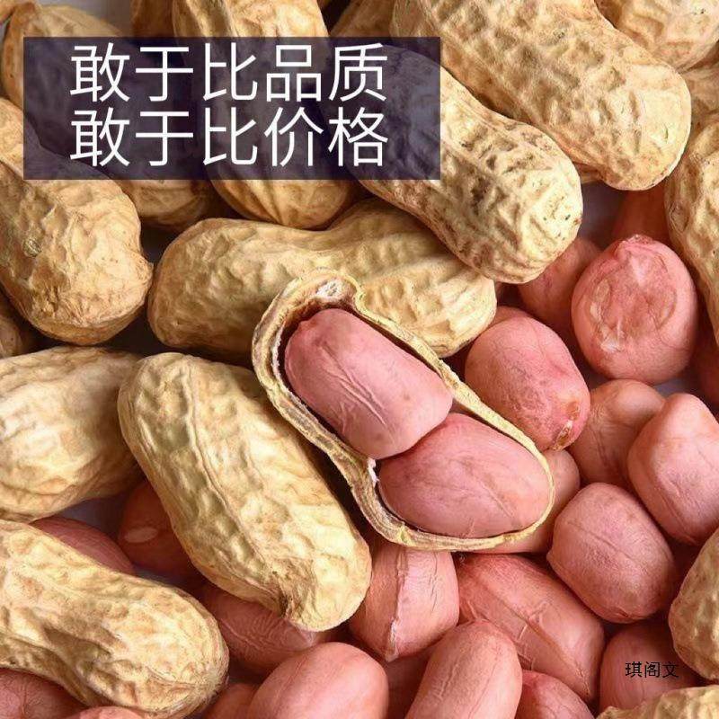 New Arrivals for Autum 2024, Naturally Sun-Dried Peanuts in Shells, Fresh Thin-Shelled Raw Peanuts, Farm-Grown and Can Be Used as Seeds