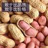 New Arrivals for Autum 2024, Naturally Sun-Dried Peanuts in Shells, Fresh Thin-Shelled Raw Peanuts, Farm-Grown and Can Be Used as Seeds