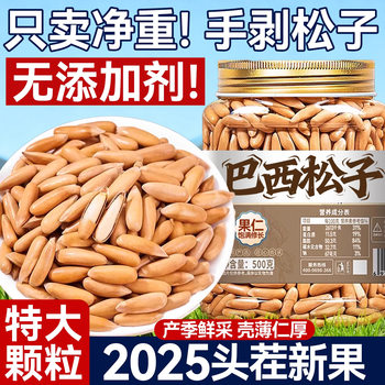 Hand-Peeled Brazilian Pine Nuts 2025 New Arrival Pakistani Nut Snacks New Year's Goods Genuine Extra Large Canned Nuts Wholesale